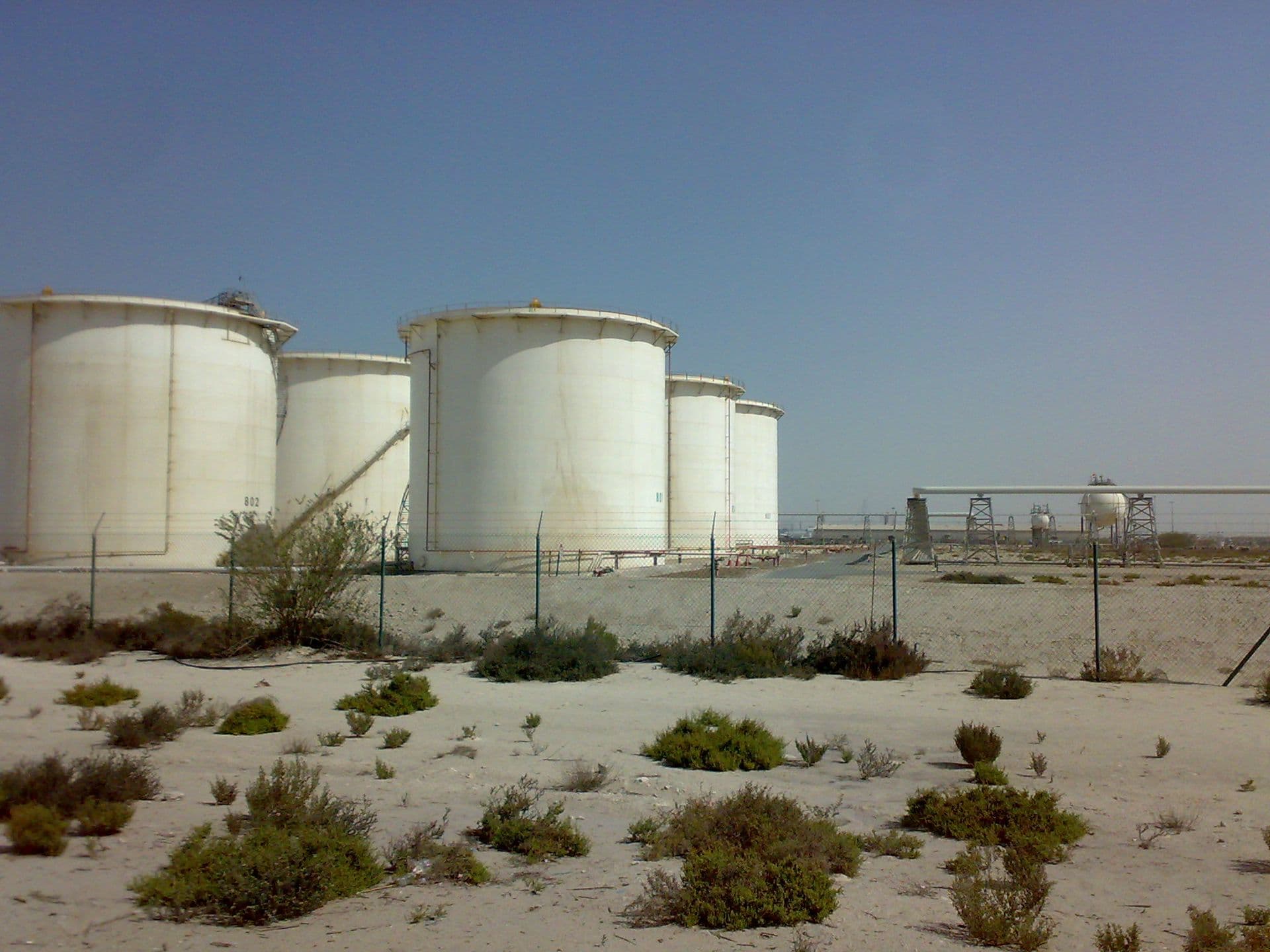 Dubai Industrial City Food Unit